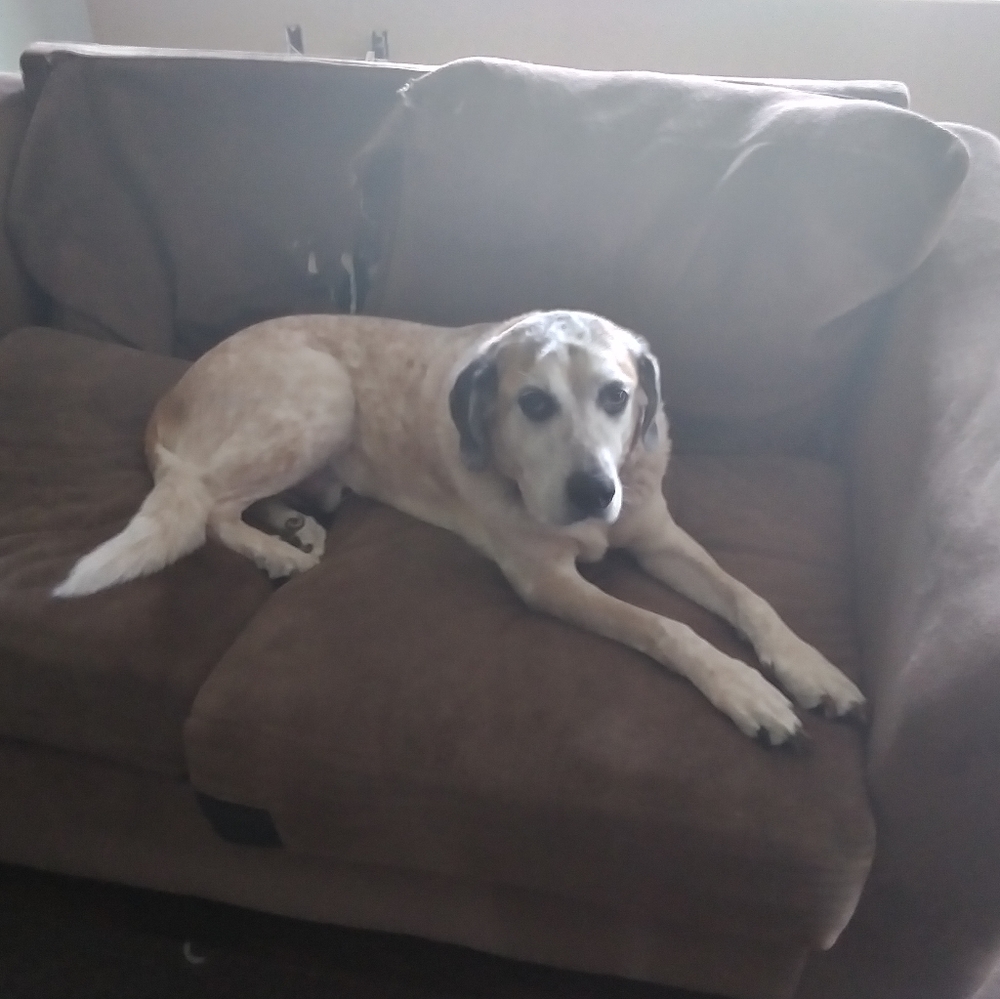 Meet your Posher, Renae
